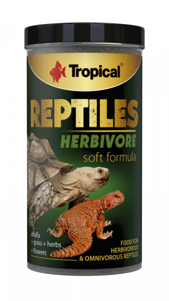 Reptiles Herbivore Soft Line